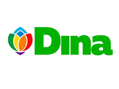 ДИНА
